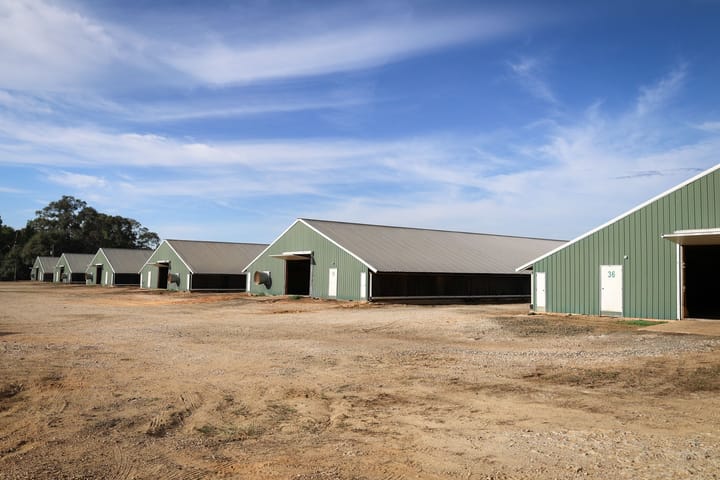 Farm11