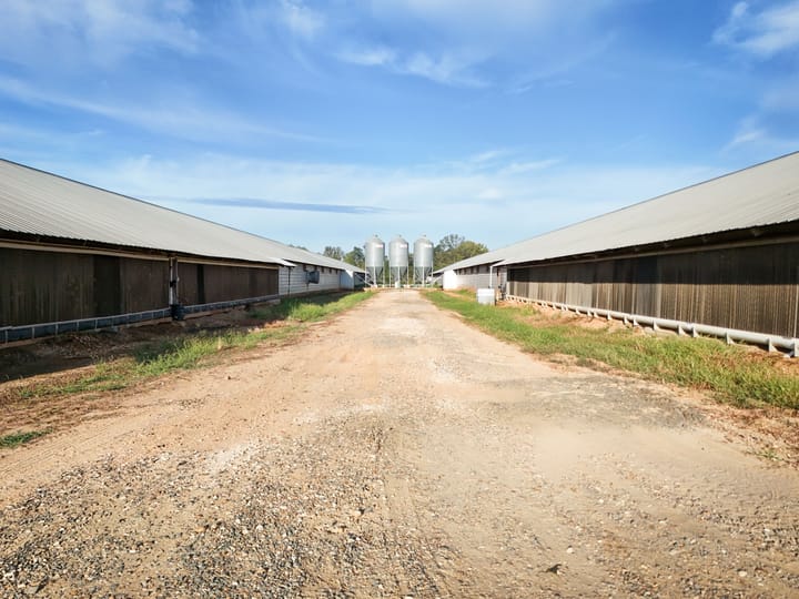 Farm5