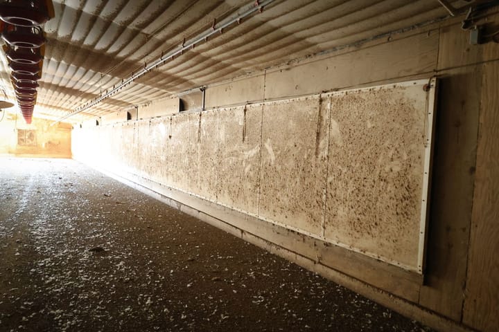 Farm19