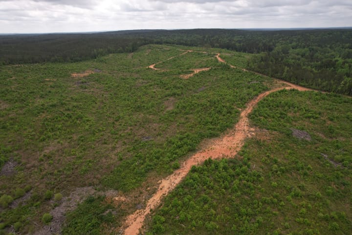 Dji Fly 20260424 111214 100 1777047693236 Photo