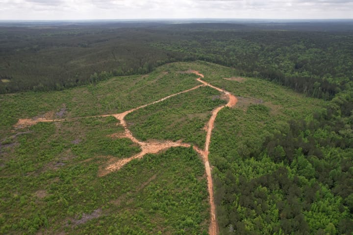 Dji Fly 20260424 111314 102 1777047689408 Photo