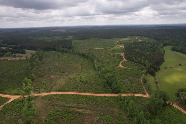 Dji Fly 20260424 111452 106 1777047682123 Photo