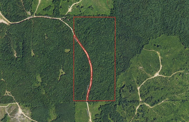 Gore Springs 80