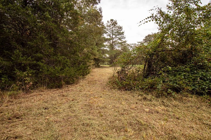 30 Img 3859