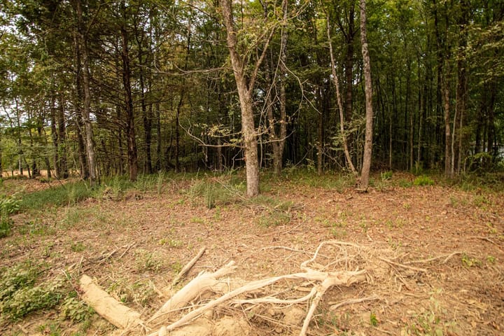 13 Img 3842