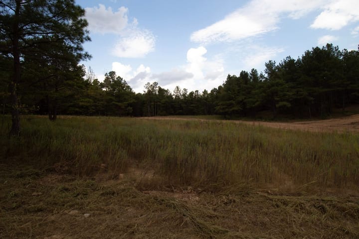35 Img 3864