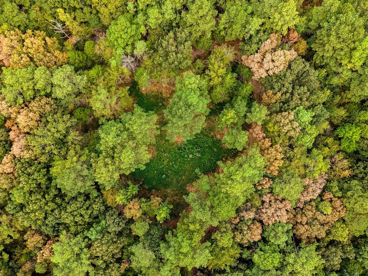 53 Dji Fly 20260911 132356 0649 1789252212686 Photo