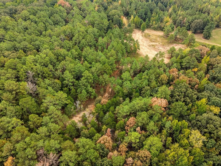 55 Dji Fly 20260911 132430 0651 1789252211947 Photo