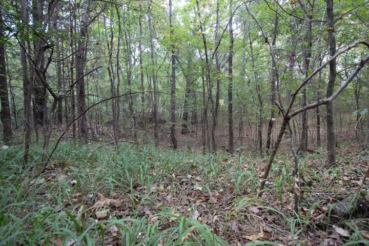 32 Img 3861