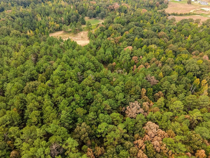 54 Dji Fly 20260911 132408 0650 1789252212314 Photo