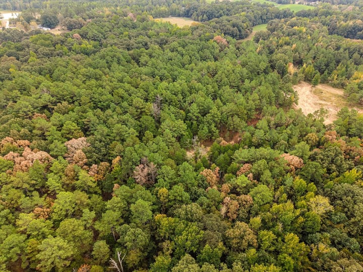 56 Dji Fly 20260911 132454 0652 1789252211578 Photo