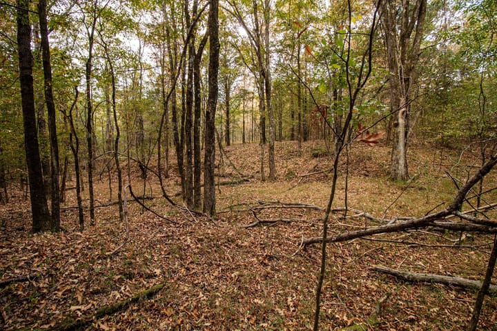 25 Img 3854