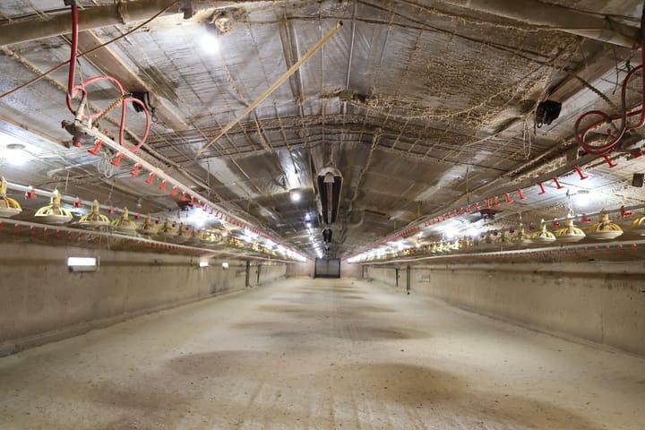 Inside1