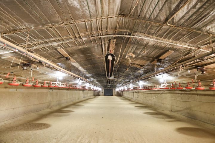 Inside4