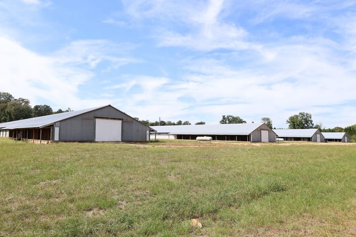 Farm15