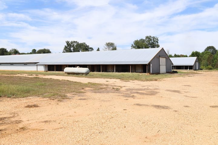 Farm6