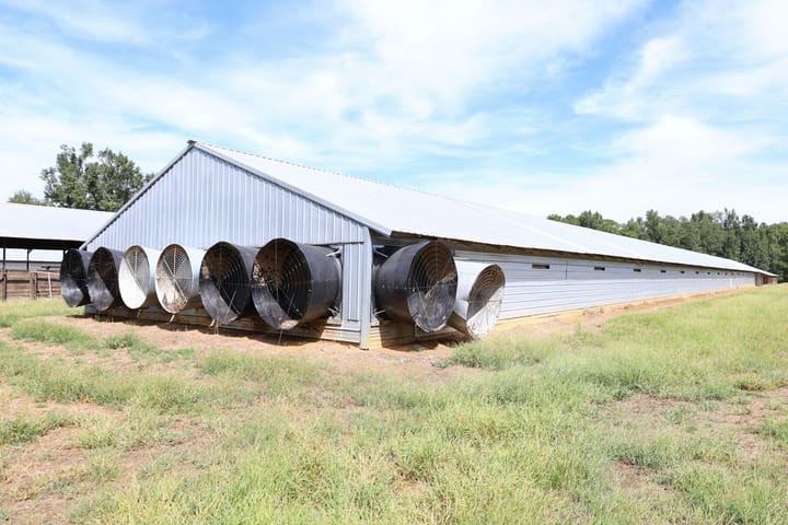 Farm8