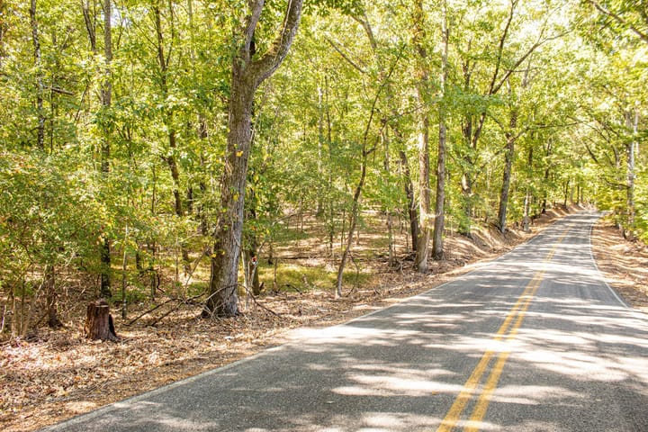 1 Img 3951