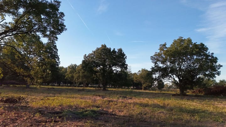 Dji 20260924090400 0624 D
