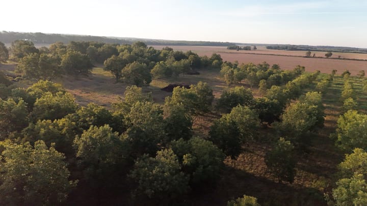Dji 20260924090516 0626 D
