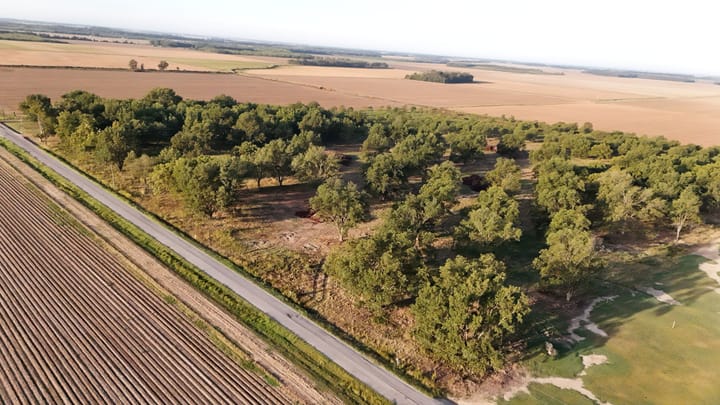 Dji 20260924090743 0630 D