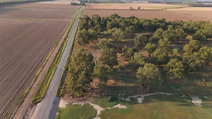 Dji 20260924090729 0629 D