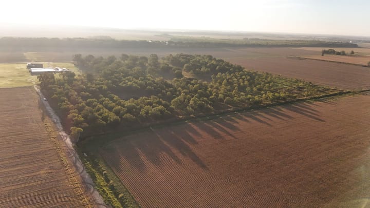 Dji 20260924085515 0601 D