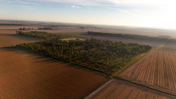 Dji 20260924085638 0604 D