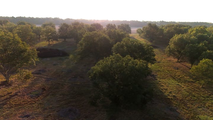 Dji 20260924090307 0621 D