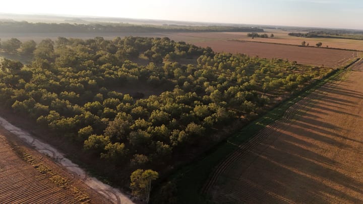 Dji 20260924085454 0600 D