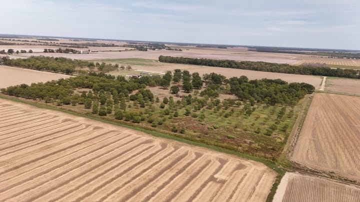 Dji 20260926154606 0637 D