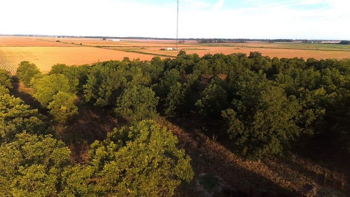 Dji 20260924090313 0622 D