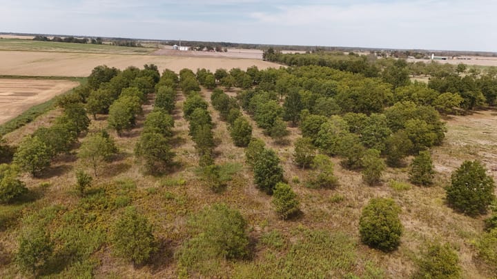 Dji 20260926154631 0638 D