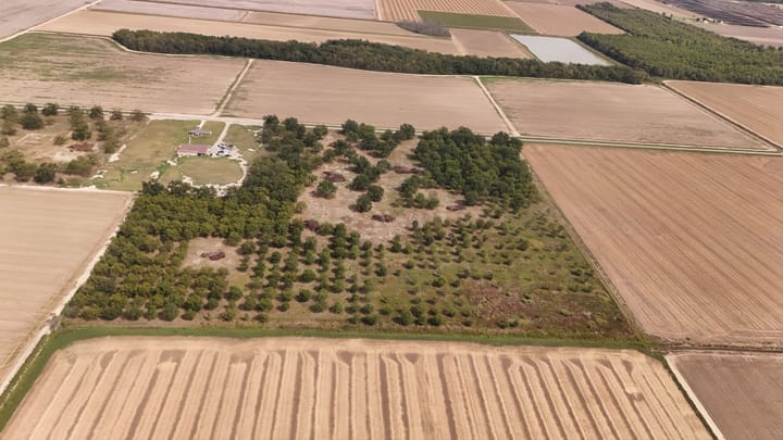 Dji 20260926154521 0635 D
