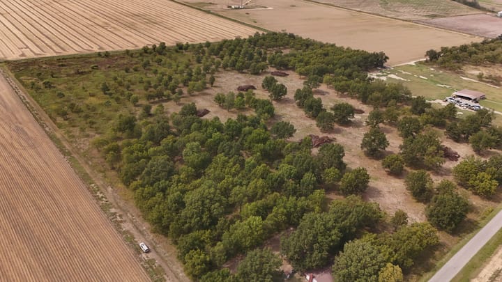 Dji 20260926154303 0631 D