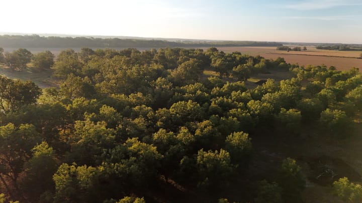 Dji 20260924085434 0599 D