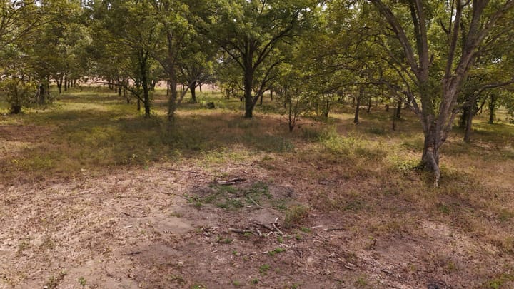 Dji 20260926154856 0640 D