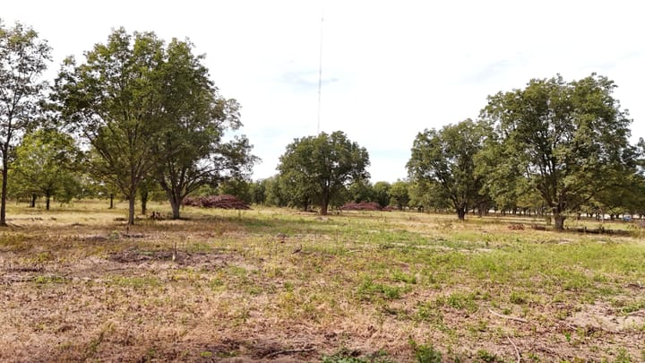 Dji 20260926154912 0642 D
