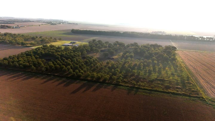 Dji 20260924090201 0619 D