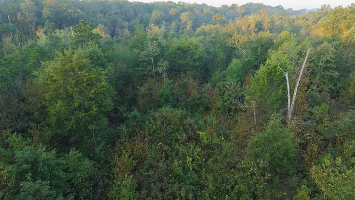 Dji 20251002074123 0677 D Jpg