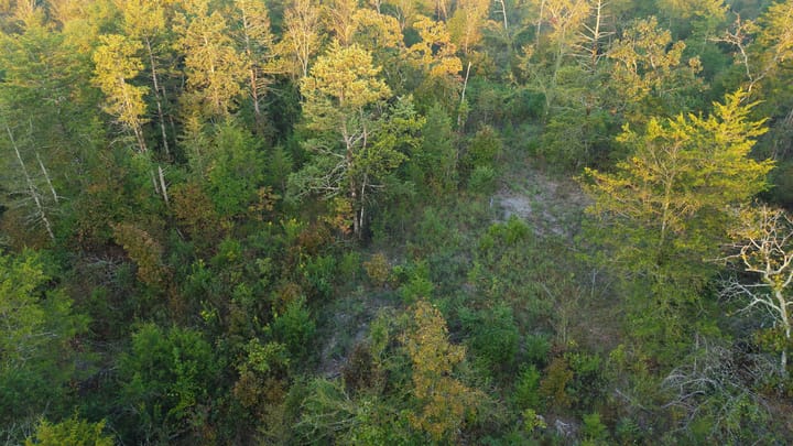 Dji 20251002074249 0682 D Jpg