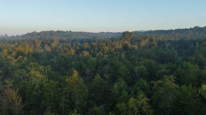 Dji 20251002074051 0674 D Jpg