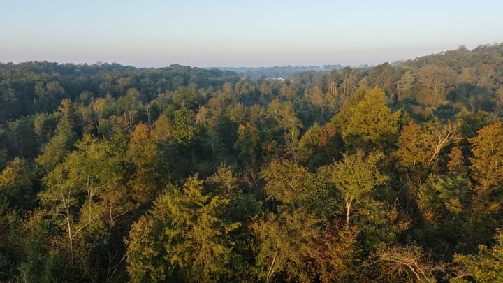 Dji 20251002074413 0686 D Jpg