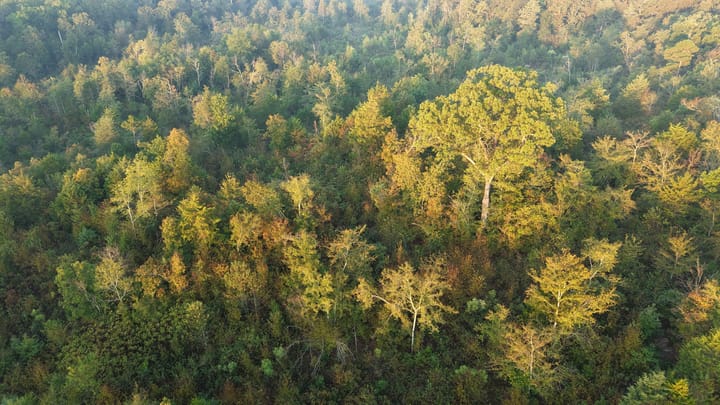 Dji 20251002074139 0678 D Jpg