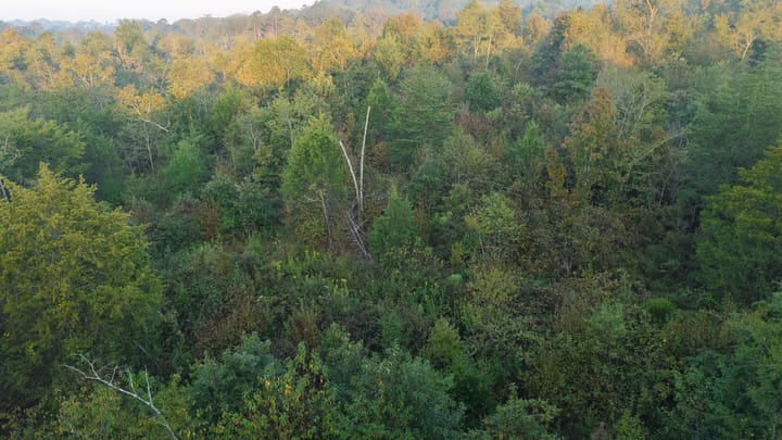 Dji 20251002074111 0676 D Jpg