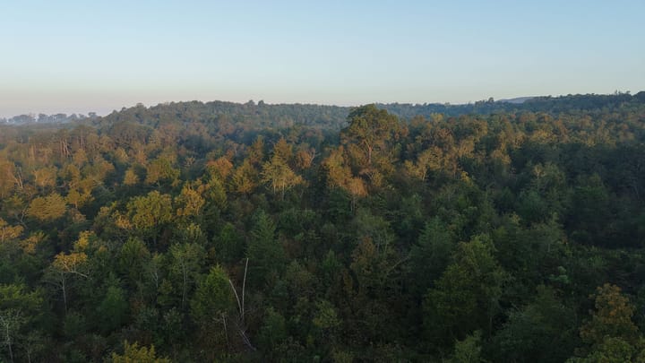 Dji 20251002074102 0675 D Jpg
