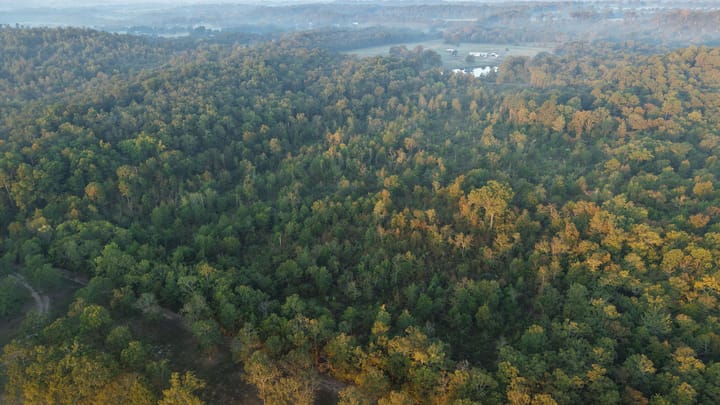 Dji 20251002073727 0664 D Jpg