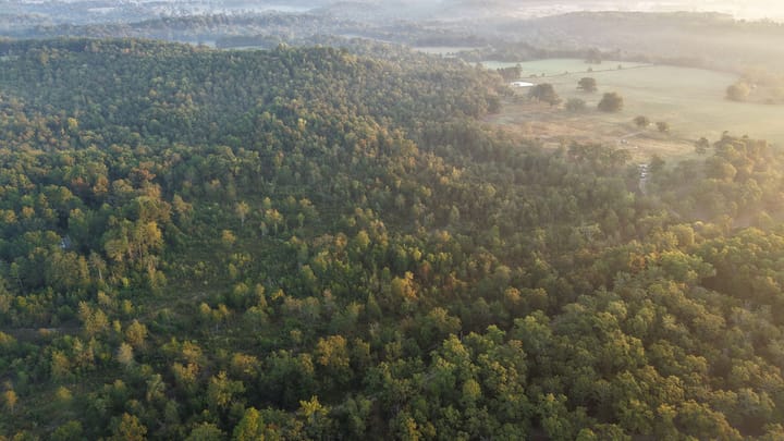 Dji 20251002073922 0669 D Jpg