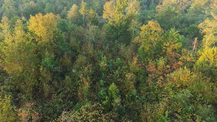Dji 20251002074213 0680 D Jpg
