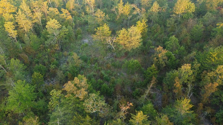 Dji 20251002074241 0681 D Jpg
